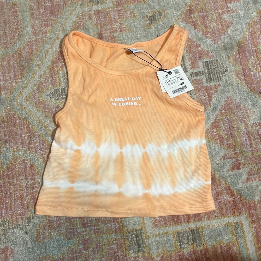 Zara Croptop